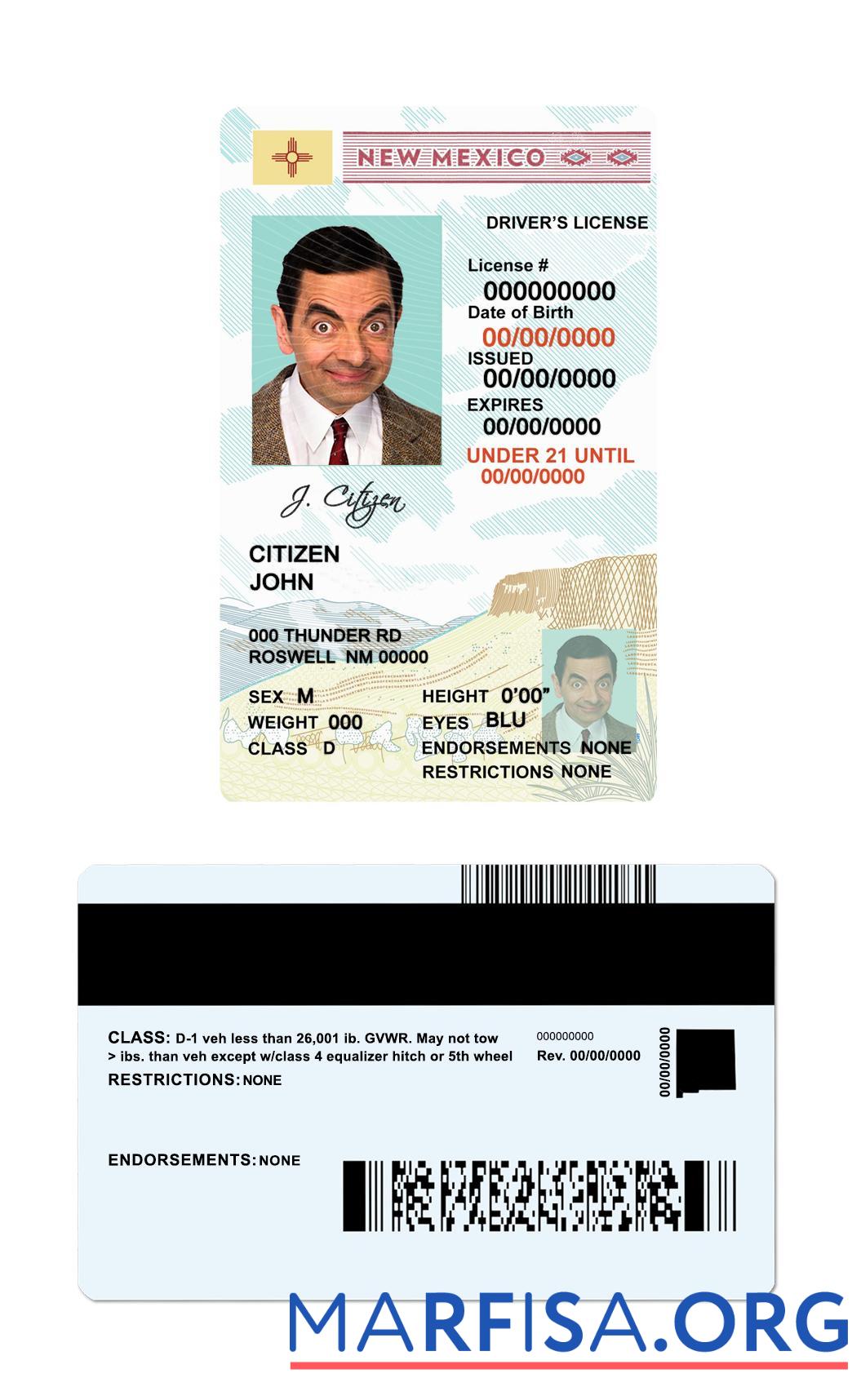 Printable USA New Mexico dl under 21 sample